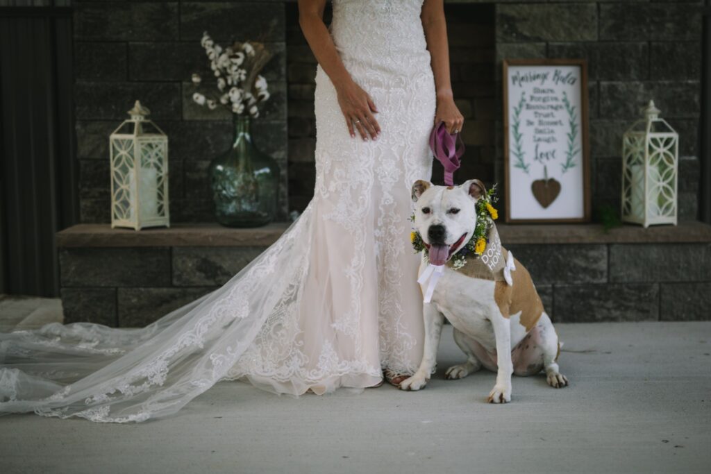 Bride in a lace wedding dress stands beside her dog wearing a floral collar and “Dog of Honor” bandana.